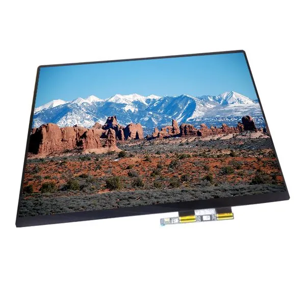 LQ133M1JW07 LCD پینل LED IPS سکرین ڈسپلے
