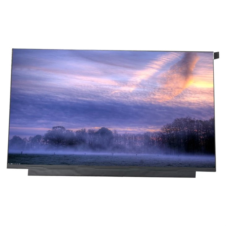 15.6 انچ NV156FH2-M20 LCD ڈسپلے
